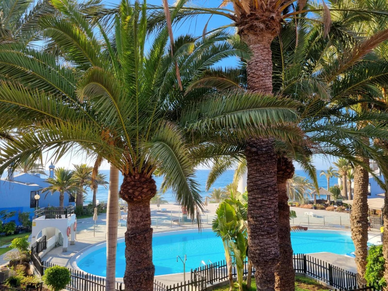 Sun Club top bungalow terraza Maspalomas  Bagian luar foto